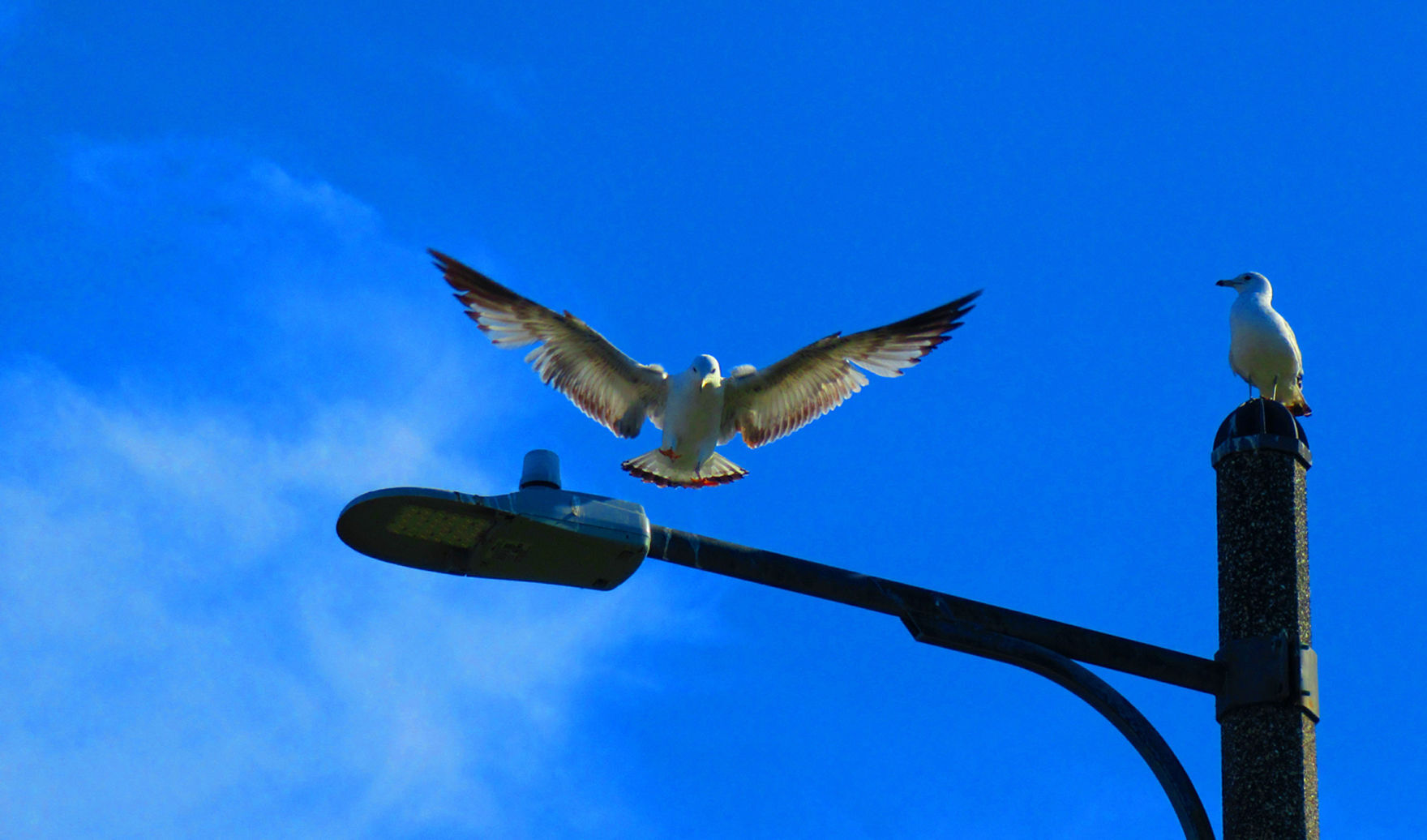 Photo of the Day for June 1